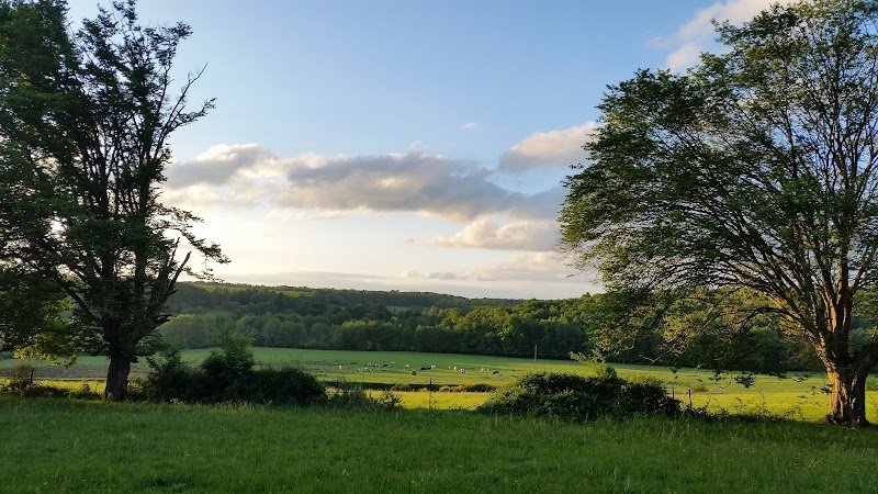 Camping Du Pavillon - photo 3