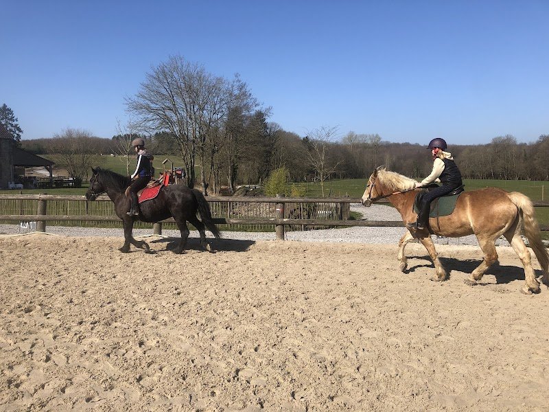 Le Haras de la Neuve Forge - photo 1