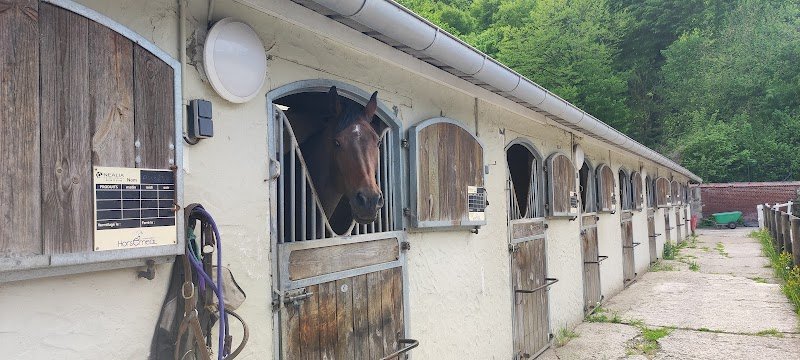 Ecuries de la seigneurie - photo 3