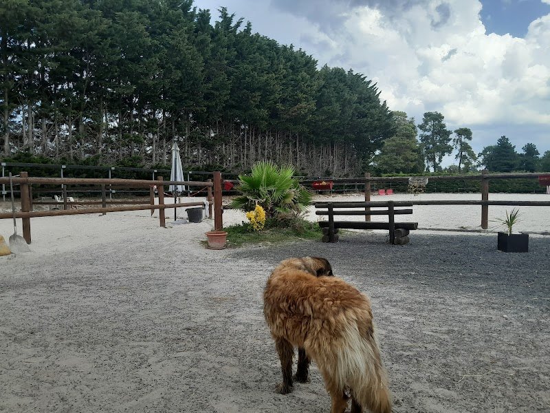 Ecurie Le Conquérant - photo 2