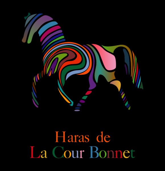 Haras de la cour bonnet - photo 2