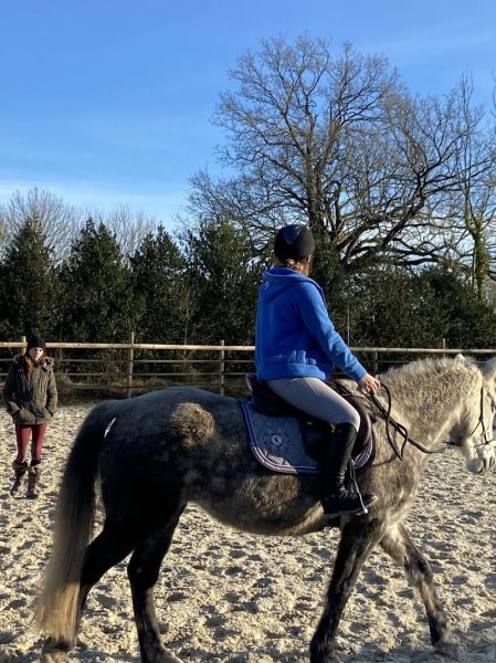 domaine equestre aux prés d'ulysse - photo 3