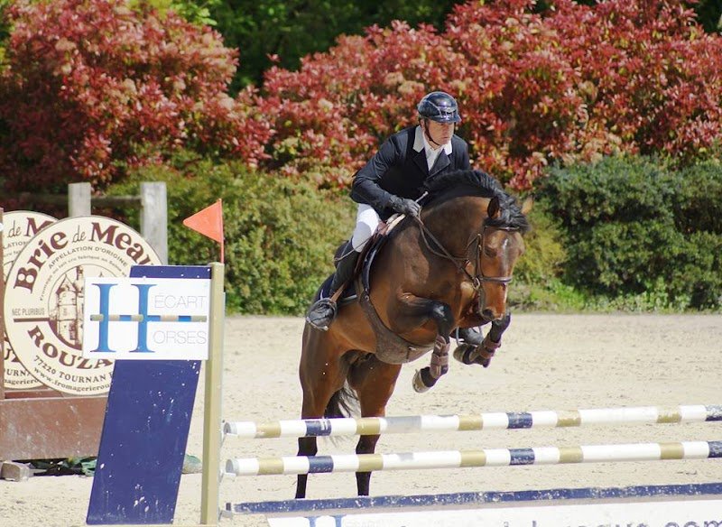 Haras de la Dame - photo 2