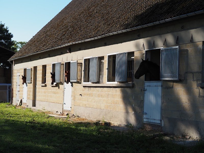 Haras de la Dame - photo 3