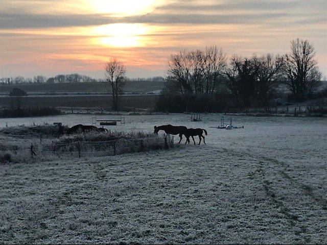 Ecuries Goosse - photo 1