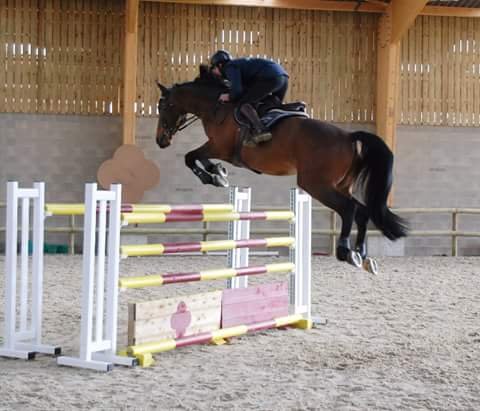 Ecuries Goosse - photo 3