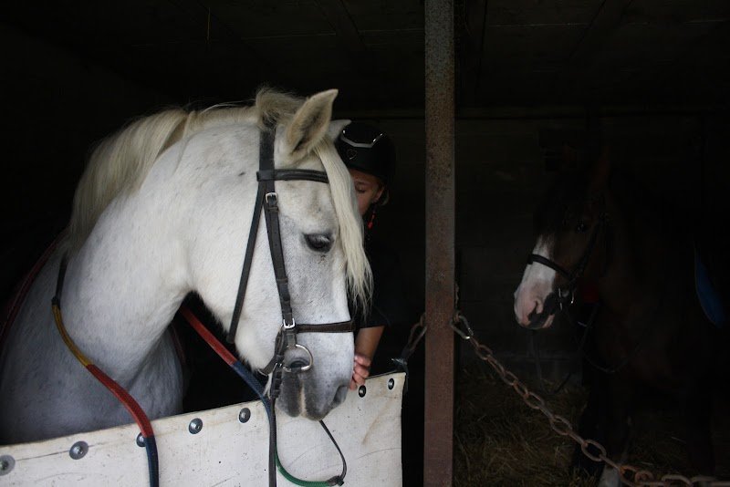 Centre équestre De Trigny Bois Du Vivier