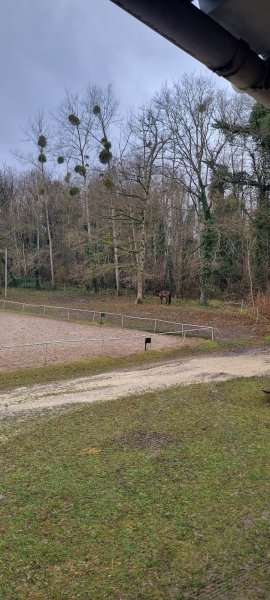 Centre équestre De Trigny Bois Du Vivier - photo 3