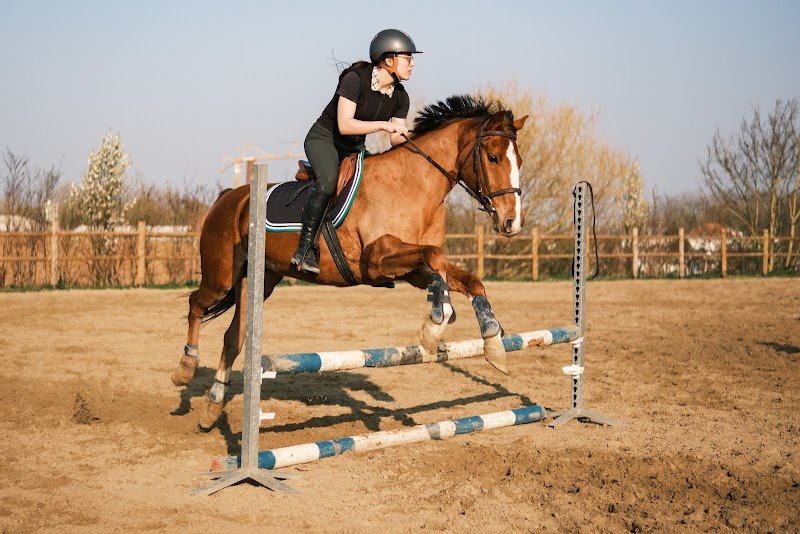 Ecurie du Quartz - photo 3