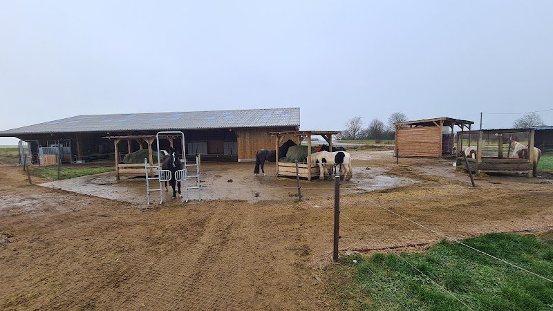 Écurie active Sabots Libres - photo 1