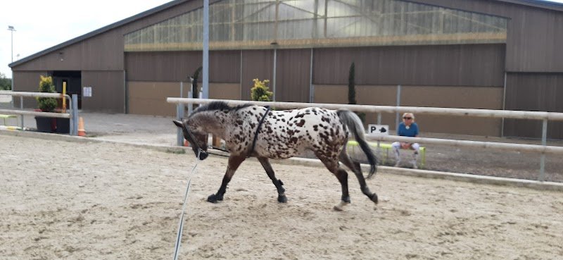 Les Écuries de la Malle