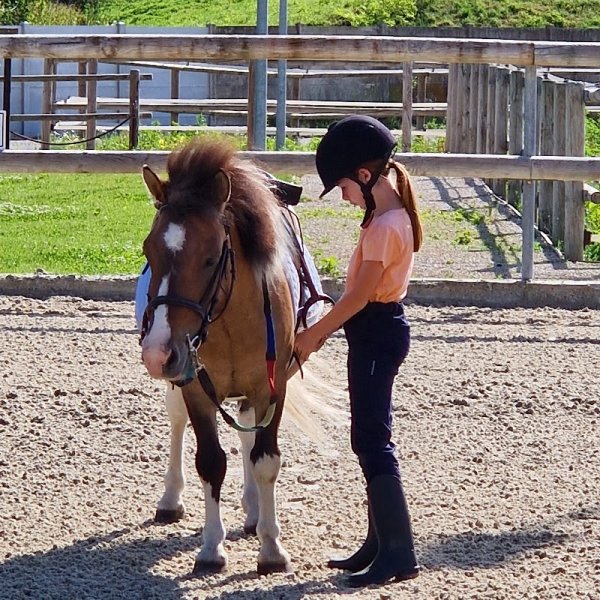 Les Écuries de la Malle - photo 2