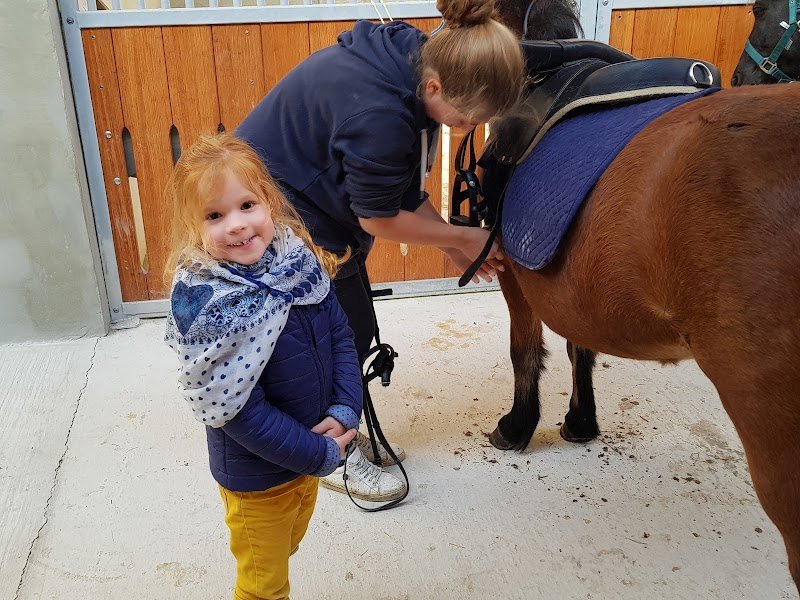 Les Écuries de la Malle - photo 3
