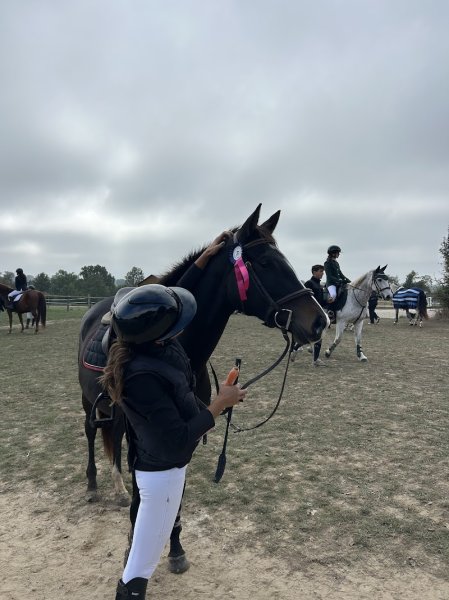 Ecuries des Roseaux - photo 1