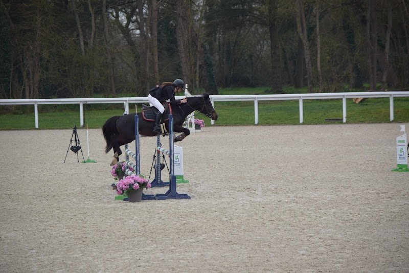 Ecuries des Roseaux - photo 3