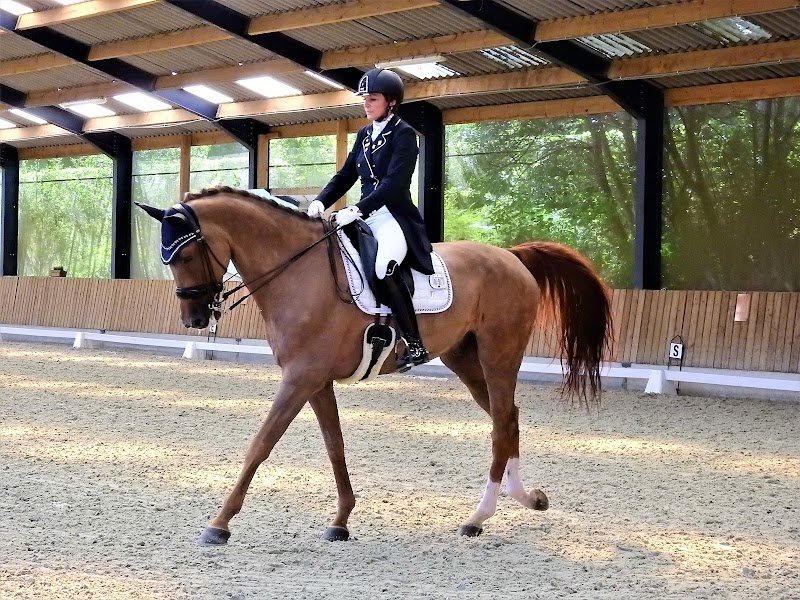 Écuries Boulant-Fontaine - photo 1