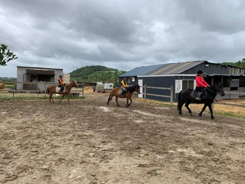 Écurie de la Colline - photo 2