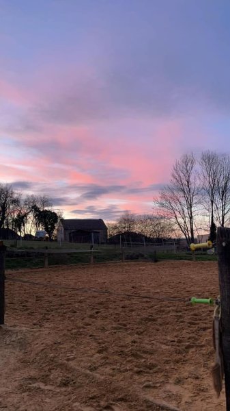 Ecurie des Tapaderos - photo 2