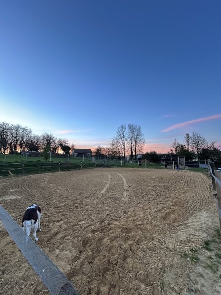 Ecurie des Tapaderos - photo 3