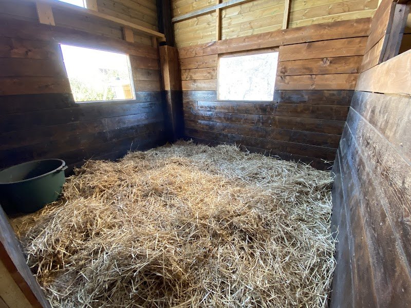 Les Ecuries Du Chêne - photo 3