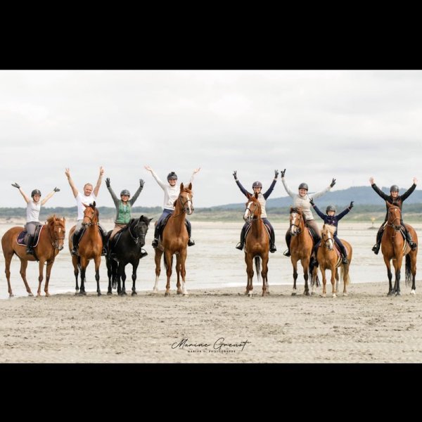 Rive SPORTHORSES - photo 1