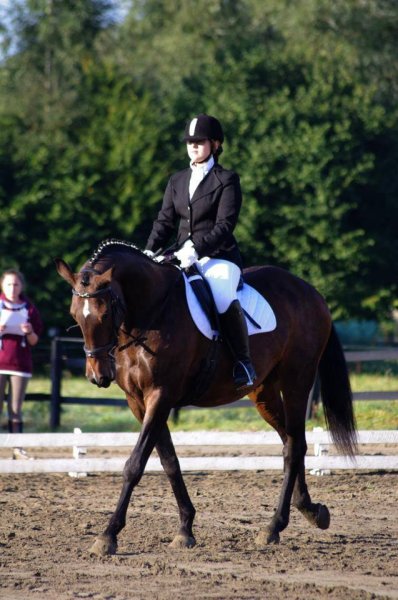 Les Ecuries de la Chapelle - photo 1