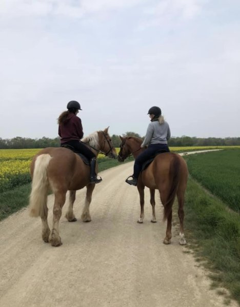 Effusion Hippique - photo 1