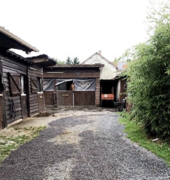 Effusion Hippique - photo 3