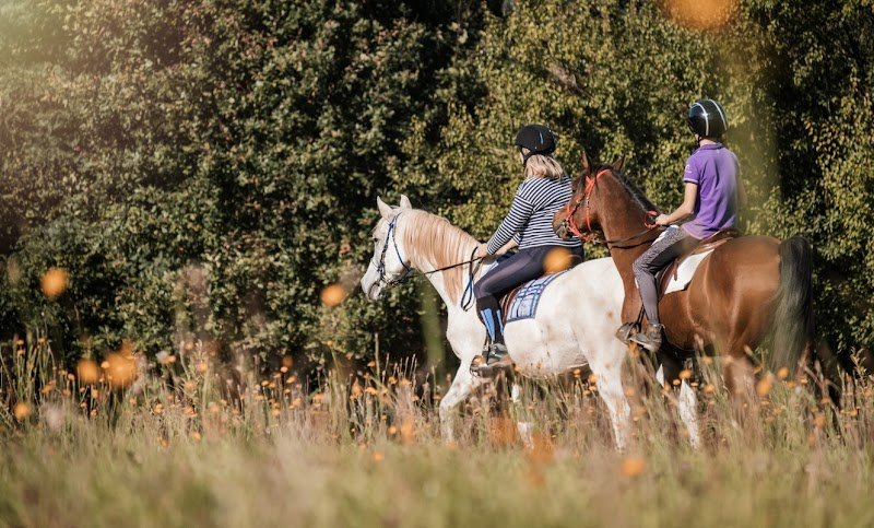 Les Ecuries de Mussy-Paradis - photo 3