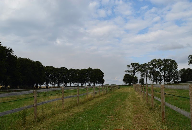 ECURIE DU BODOAGE - PADDOCK PARADISE - photo 2