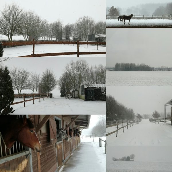 Les Ecuries du Gard - photo 1