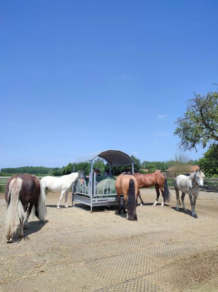 L'Ecrin de Liberté - Ecurie Active