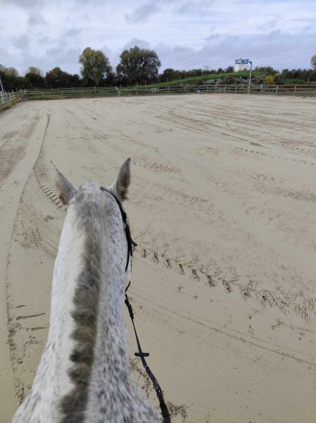L'Ecrin de Liberté - Ecurie Active - photo 3