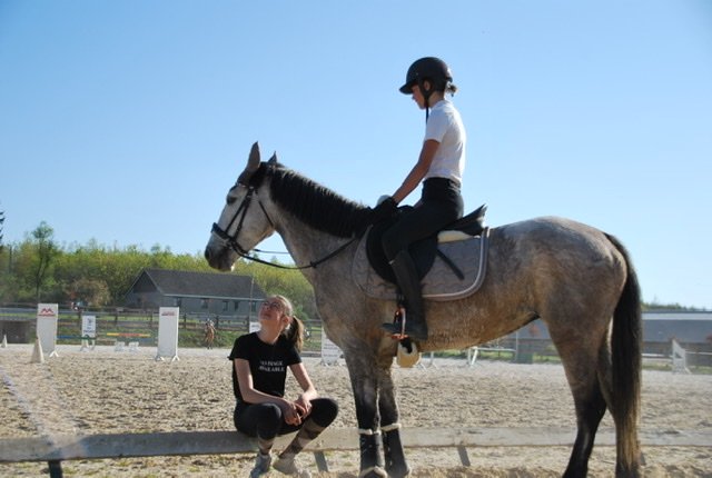 Ecurie des Iles - photo 2