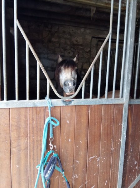 Écuries du Pas Saint-Martin