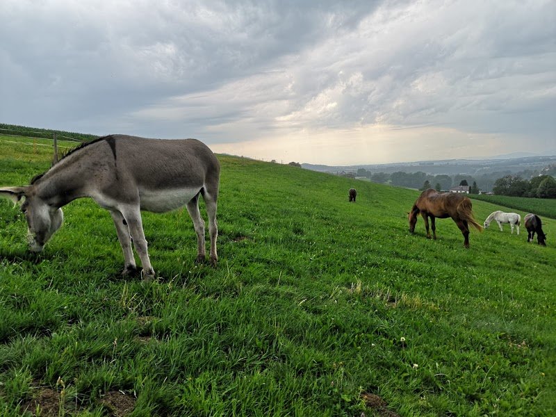 Ecurie Prameya - photo 1