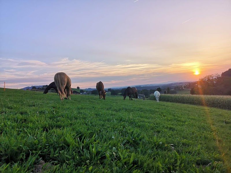 Ecurie Prameya - photo 2