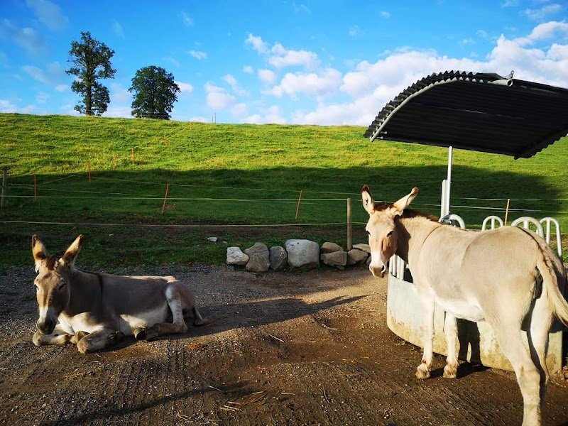 Ecurie Prameya - photo 3