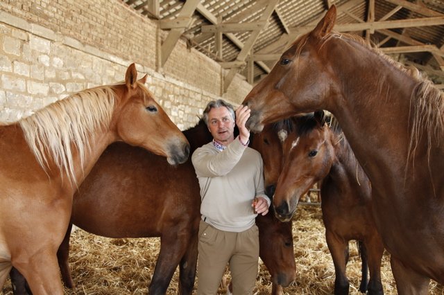 Haras de Villers - Commerce - Pensions de Chevaux - Compétition - Coaching
