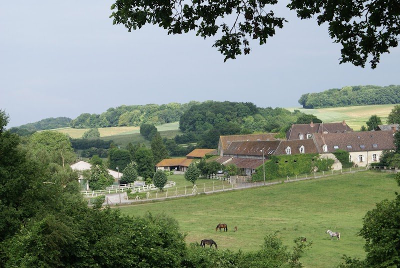 Haras de Villers - Commerce - Pensions de Chevaux - Compétition - Coaching - photo 2