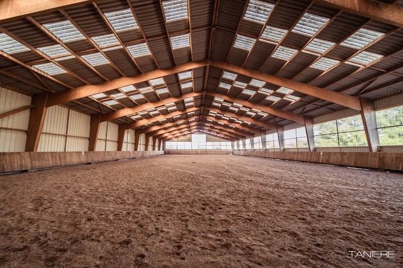 Haras de Villers - Commerce - Pensions de Chevaux - Compétition - Coaching - photo 3