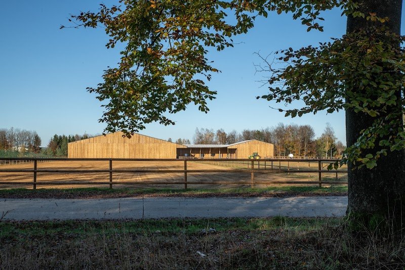 Western Horses Events