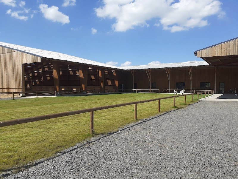 Western Horses Events - photo 2