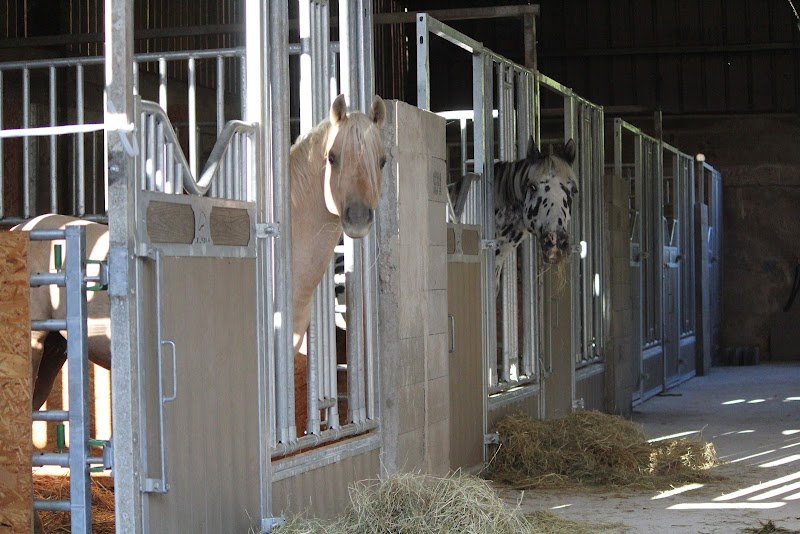 Ecurie des Andrettes - photo 2