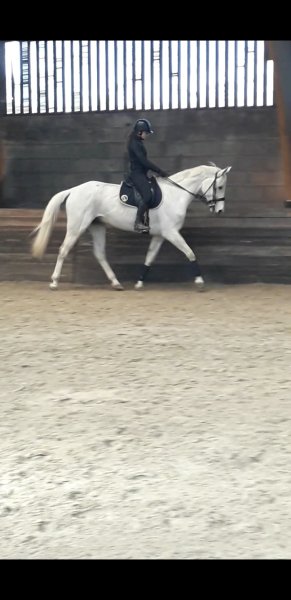 Ecurie des Andrettes - photo 3