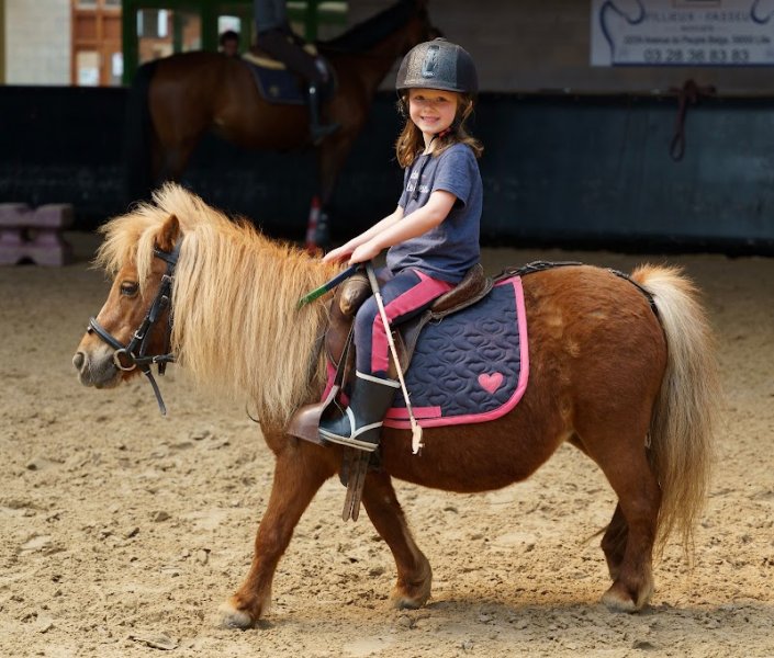 Centre équestre René Dujardin 🐎 - photo 1
