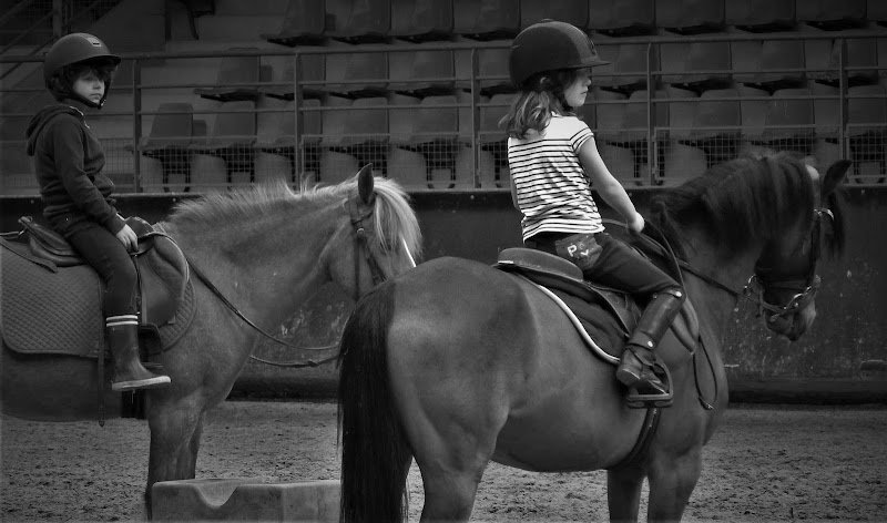 Centre équestre René Dujardin 🐎 - photo 3