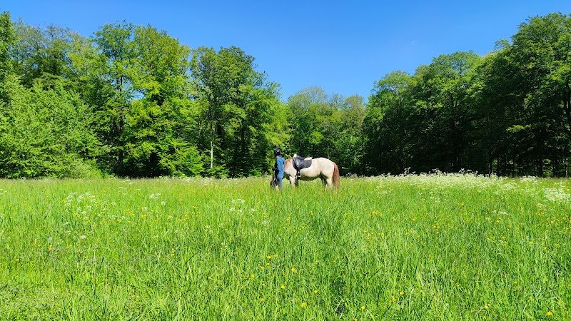 Ecuries du Vervel - photo 2