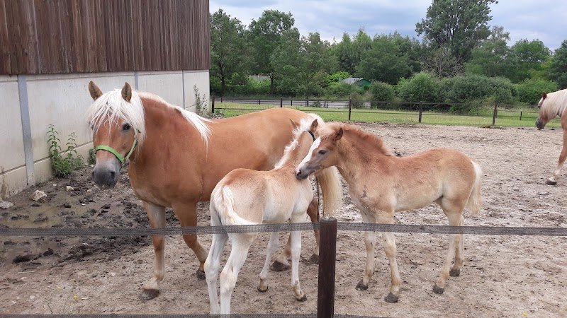 Ecuries du Vervel - photo 3