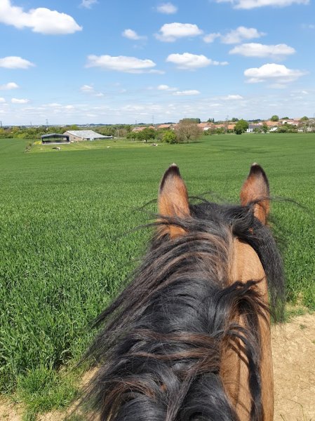 Les Ecuries de Chenières - photo 2